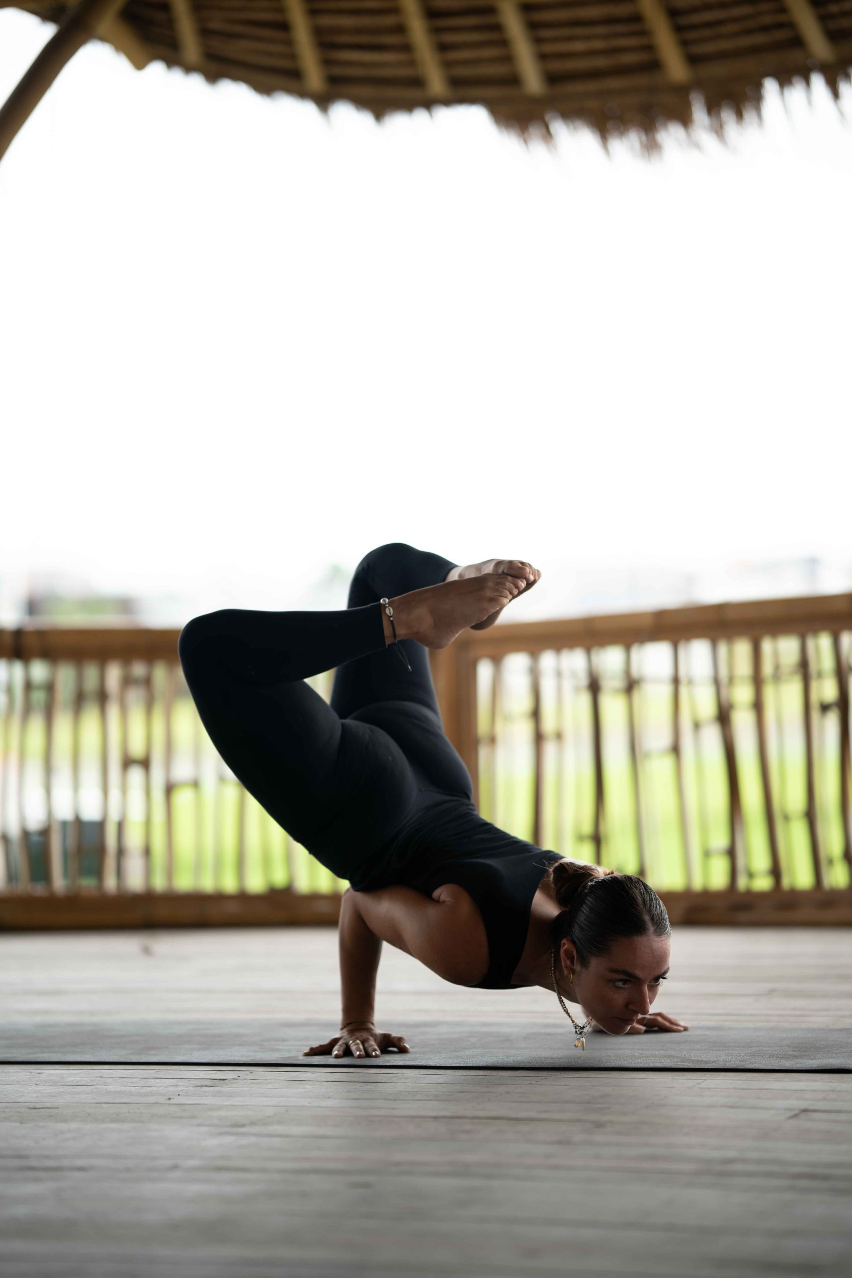 Arm balance and inversions workshop